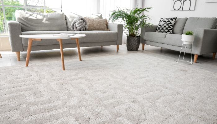 What Is the Average Cost of Carpet Cleaning in Tampa, FL?
