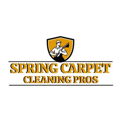 Spring Carpet Cleaning Pros