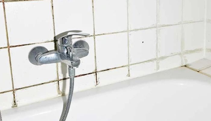 How to Clean Mold in Shower Grout
