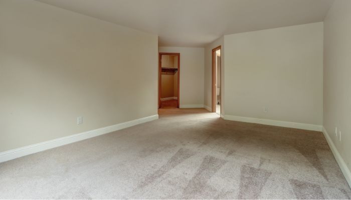 What Is the Average Cost of Carpet Cleaning in Seattle, WA?