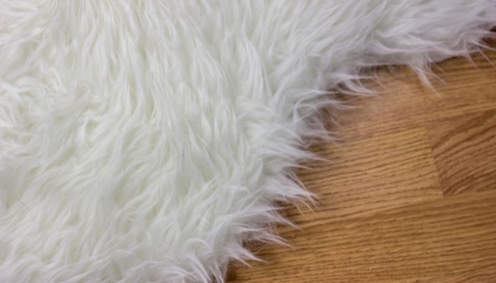 Wool Carpet Cleaning & Maintenance: Do You Know What You Need To Know ...